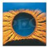 Eyeland Collection Poster Sunflower