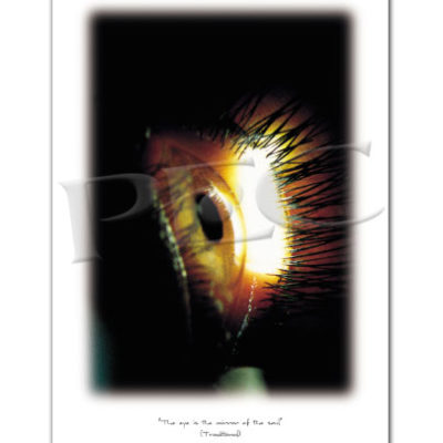 Eyeland Collection Poster Eye Light