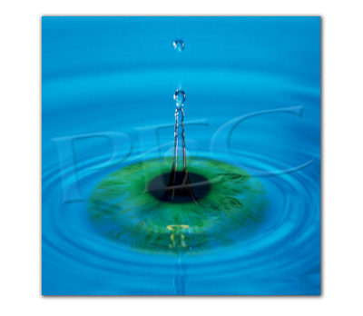 Eyeland Collection Poster Eye Drop