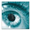 Eyeland Collection Poster Eye Clear