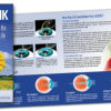 LASIK - Don't Miss the Beauty of Life Brochure