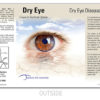 Dry Eye Brochure 2021